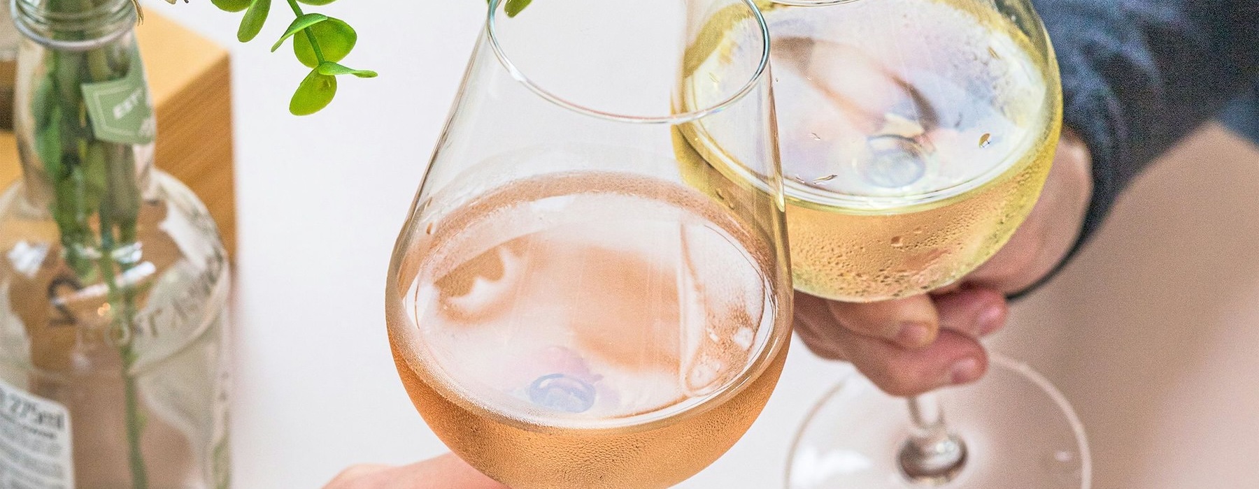 a people holding glasses of wine