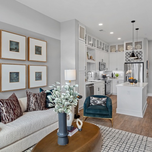 Open space living area with natural lighting